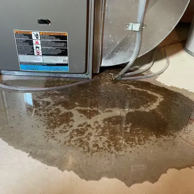 Appliance Leak Cleanup in West Belmar, NJ